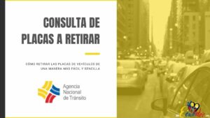 Consulta Placas de vehículos a Retirar - ANT Ecuador